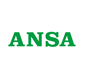 ansa economia